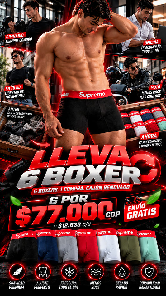 BOXER SUPREME X6X12